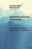 Elements of Scene Perception