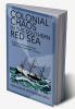 Colonial Chaos in the Southern Red Sea