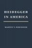 Heidegger in America