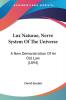 Lux Naturae Nerve System Of The Universe