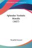 Splendor Veritatis Moralis (1627)