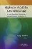 Mechanics of Cellular Bone Remodeling