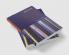 Industrial Process Control Systems Second Edition