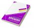 New Reference Grammar of Modern Spanish