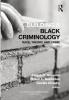 Building a Black Criminology Volume 24