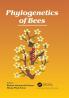 Phylogenetics of Bees