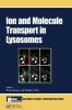 Ion and Molecule Transport in Lysosomes