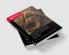 Routledge Handbook of Sport Gender and Sexuality