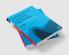 Handbook of Coaching Psychology
