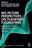 Big Picture Perspectives on Planetary Flourishing