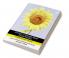Handbook of Strengths-Based Clinical Practices