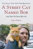 STREET CAT NAMED BOB