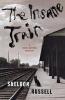 The Insane Train: 2 (A Hook Runyon Mystery 2)