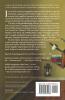 American Innovations: Stories