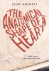 Anatomical Shape of a Heart