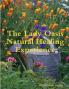 The Lady Oasis Healing Experience