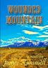 Wounded Mountain