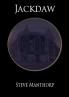 Jackdaw