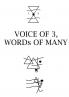 VOICE OF 3 WORDs OF MANY