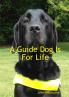 A Guide Dog Is For Life