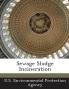 Sewage Sludge Incineration