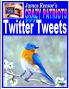 James Reesor's Crazy Patriots Twitter Tweets