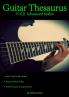 Guitar Thesaurus Vol.II