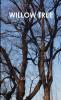 WILLOW TREE