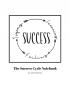 The Success Cycle