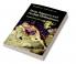Sleep Romance and Human Embodiment