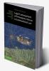 Legal Consequences of Peremptory Norms in International Law