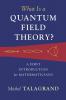 What Is a Quantum Field Theory?
