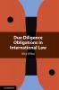 Due Diligence Obligations in International Law