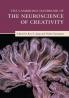 The Cambridge Handbook of the Neuroscience of Creativity