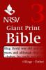 NRSV Giant Print Bible