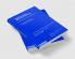 Dispersive Partial Differential Equations