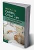 Principles of Geriatric Critical Care
