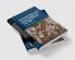 Anti-Jewish Riots in the Crown of Aragon and the Royal Response 1391-1392