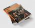 The Cambridge Companion to the Dutch Golden             Age