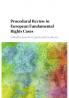 Procedural Review in European Fundamental Rights Cases