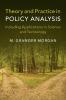 Theory and Practice in Policy Analysis