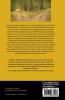 Theory and Practice in Policy Analysis