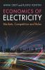 Economics of Electricity
