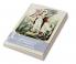 The Cambridge Companion to Democracy in America