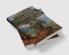 Literature and Nature in the English Renaissance