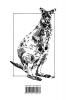 Macropods - Caring for Kangaroos and Wallabies