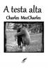 A TESTA ALTA