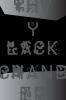 The Black Chamber. Surveillance paranoia invisibility & the internet