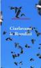 Ciarlavano le Rondini
