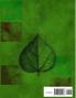 Introduction to Holistic Aromatherapy